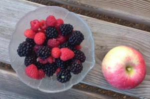 Dagens smoothie