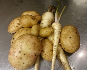 potatis-och-palsternacka