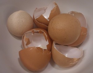 Äggskal
